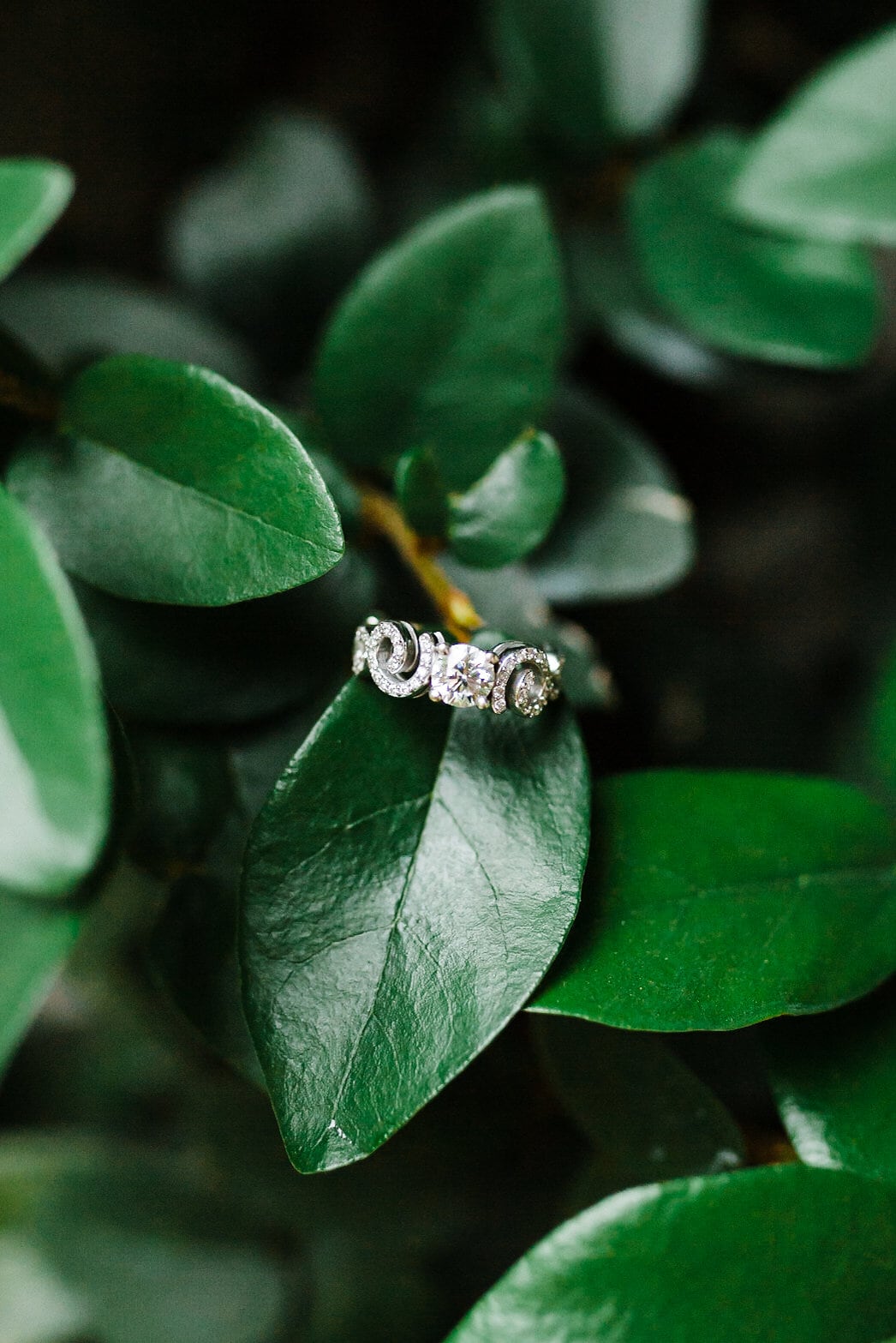 engagement ring in leaves