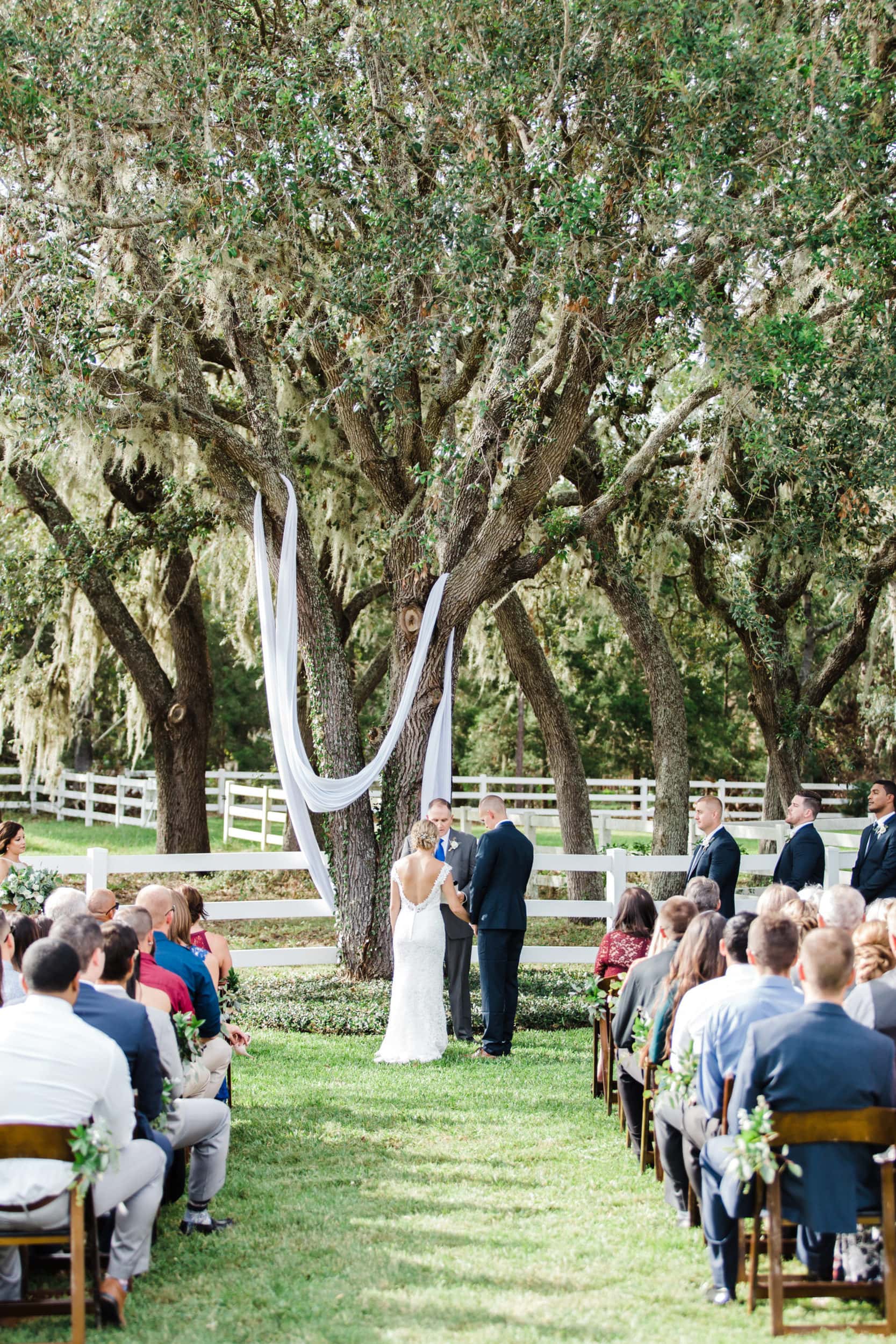 bride in casablanca gown standing next to groom in navy suit from express under oak tree during ceremony at bramble tree estate with white fabric hanging from tree branches