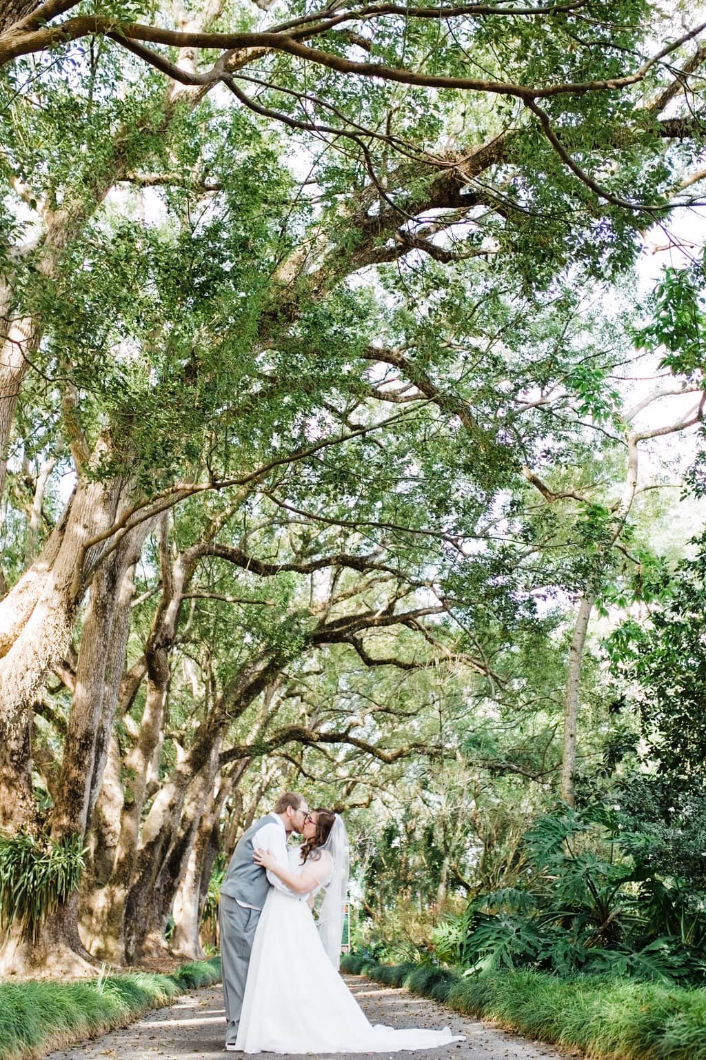 Bride and Groom kissing underneath Leu Gardens tree lined walkway