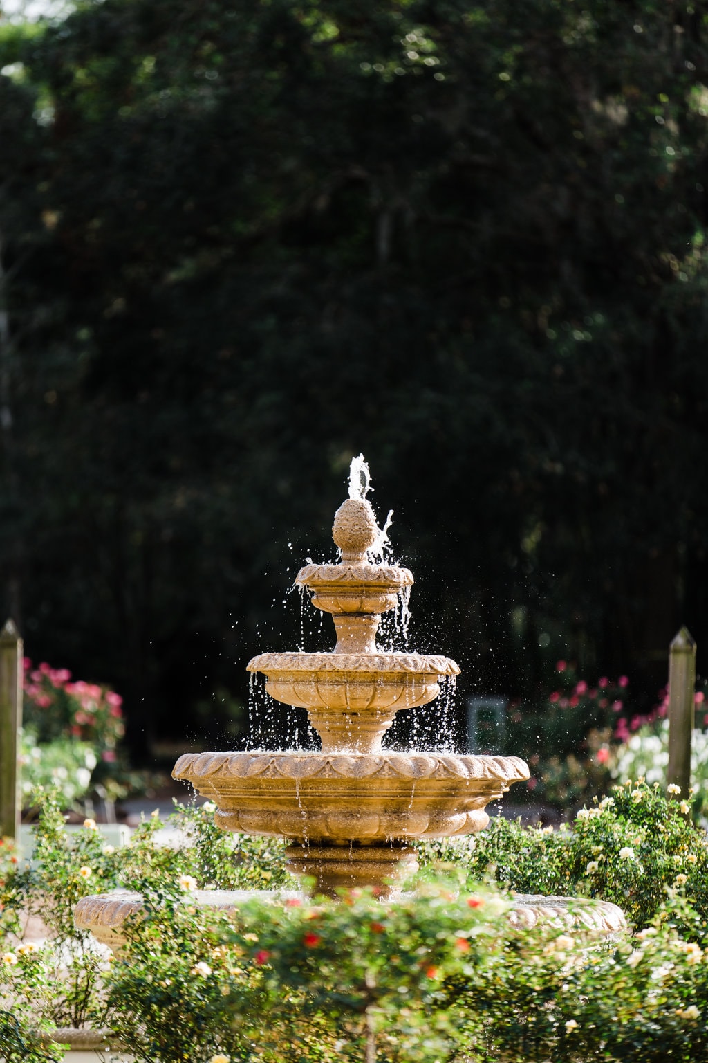Leu Gardens water fountain in rose garden