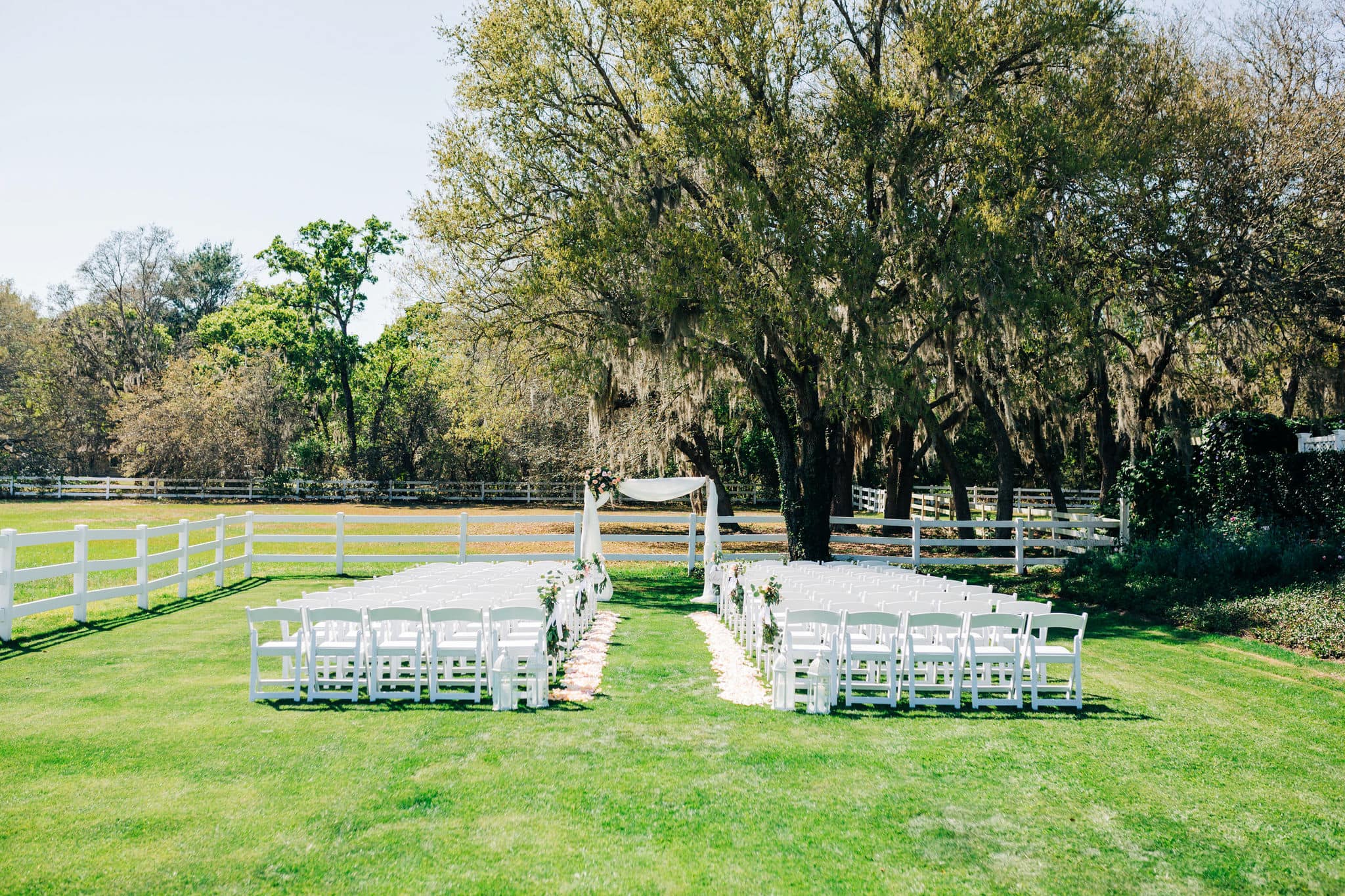 bramble tree wedding ceremony location in front of Oak tree