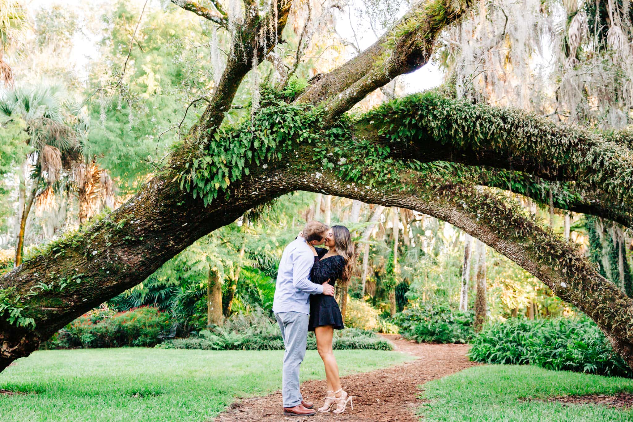couple kissing under the arch of a tree at bok tower gardens