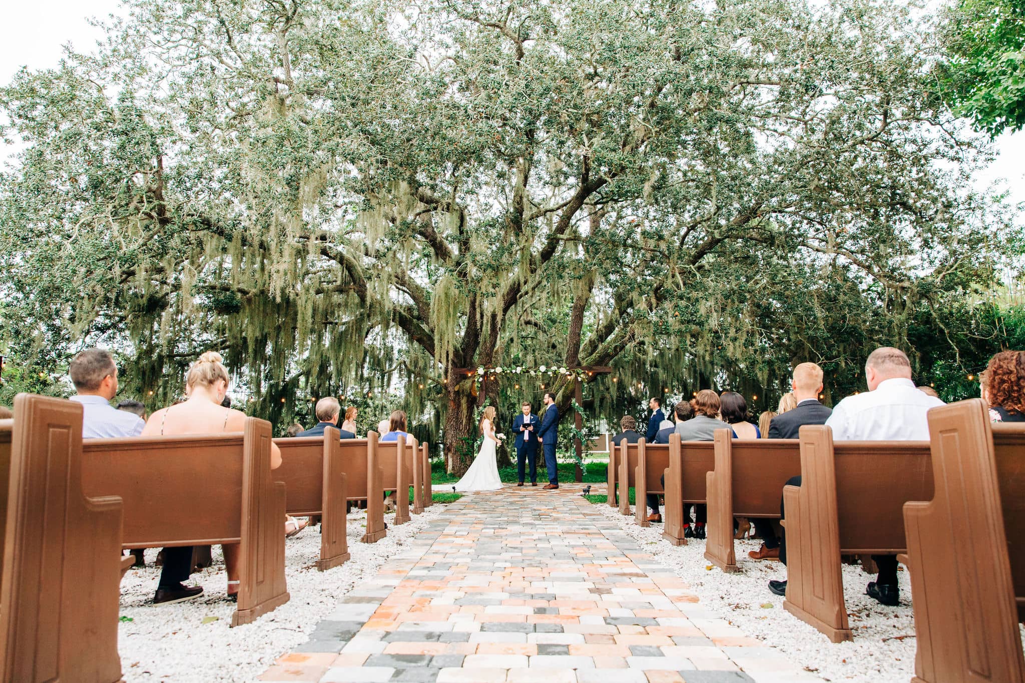 ceremony aisle with wooden pews in front of a large oak tree at ever after farms ranch